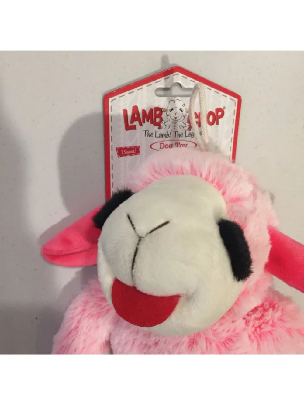 Lamb Chop 13